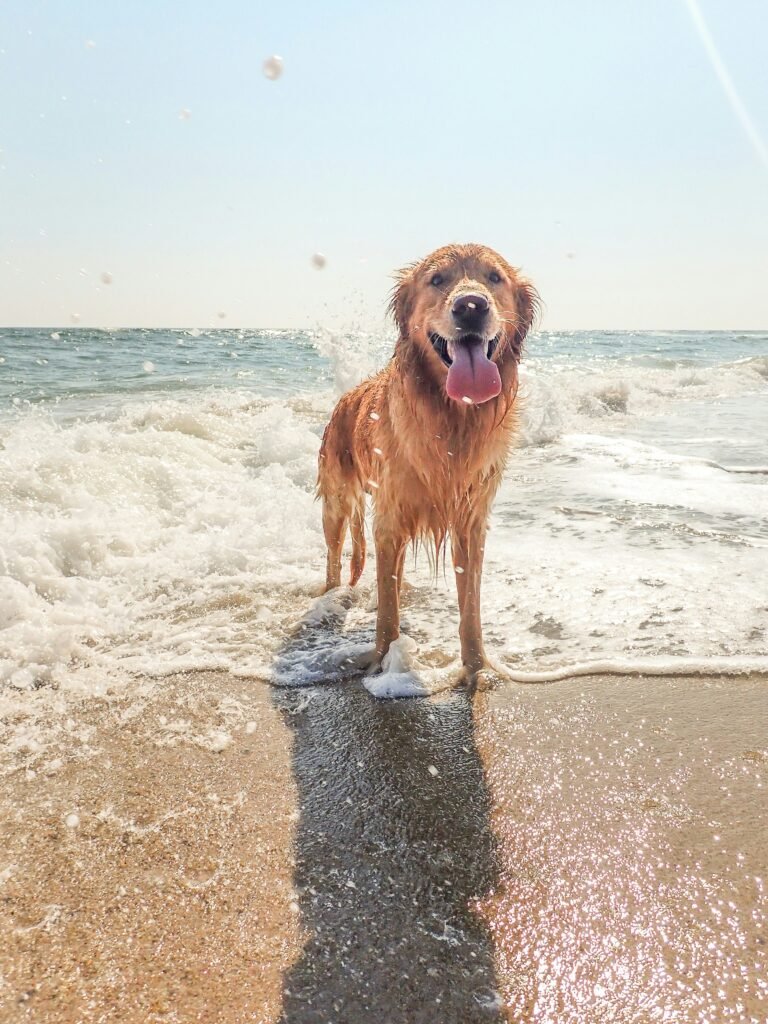 Photo by Elisa Kennemer on Unsplash